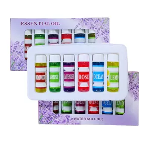 Set d'huiles essentielles d'aromathérapie solubles dans l'eau diffuseur 6 flacons parfums