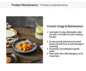 Macro detail of a Japanese style ceramic snack plate with product care instructions
