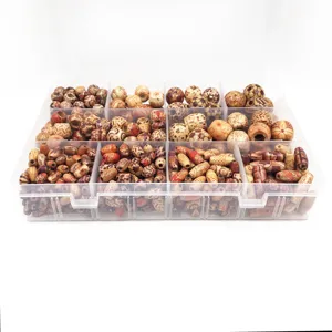 Assorted wooden beads DIY set with storage box, large hole barrel and round beads for crafts