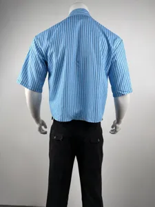 Herren lässiges vertikal gestreiftes Kurzarmhemd Rückansicht zeigt lockeres Design.