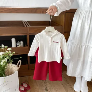 Detailed view of autumn toddler girl lace hooded ribbed top and red pants set in cozy room.