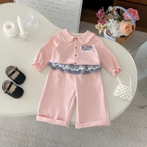Niedliches Kleinkind Mädchen rosa Langarmshirt und Schlaghose Set, süßes Herbst Outfit