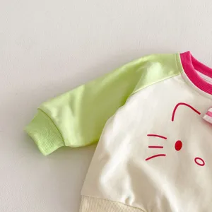 Baby toddler colorblock sweatshirt detail view, cute cartoon style raglan sleeve top.