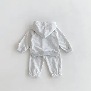 Conjunto de sudadera con capucha y pantalón para bebé, chándal gris de otoño.