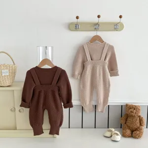 Maglione lavorato a maglia e salopette per neonati set due pezzi dettaglio, abito autunnale.