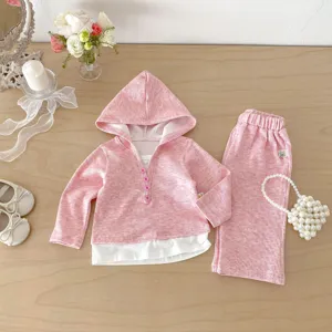 Mädchen Frühling rosa Kapuzenpullover und weite Hose Freizeitset Kleinkind Outfit