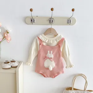 Baby Strick Pullover Set, niedliches Kanasinchen Detail, gemuetliches Herbst Outfit.