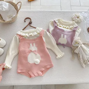 Süßes Baby Strick-Romper Set mit süßem Hasen-Design, Langarmtop und tollem Träger-Body.