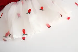 Grazioso abito rosso bambina gonna tulle bianco dettaglio ricamo primo piano vista