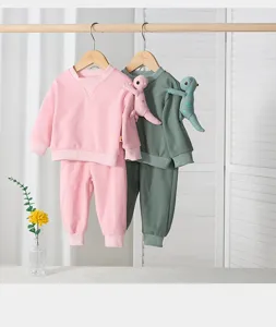 Cute toddler kids sweatshirt and pants set with dinosaur toy, spring children clothing two-piece.