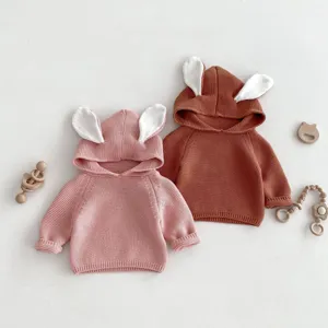 Baby Kids Hooded Knit Sweater Cute Rabbit Ears Long Sleeve Pullover Toddler Autumn Top