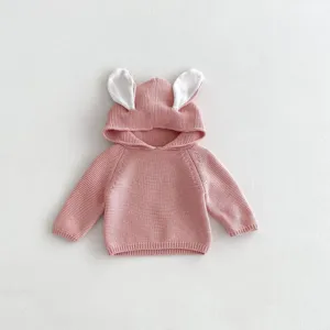 Cute baby knit sweater with bunny ears, toddler hooded pullover detail for autumn.