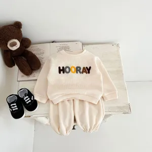 Toddler autumn long sleeve sweatshirt pants set with letter embroidery for daily wear.