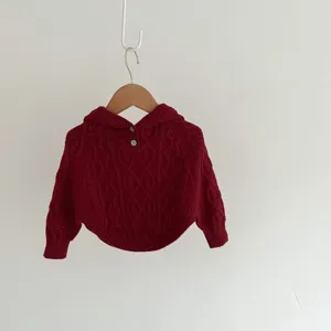 Red knitted hooded sweater detail view, cable knit pattern, cute baby outerwear close up.
