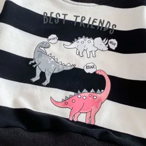 Vista dettagliata della stampa dinosauro cartone animato sul tessuto della felpa bambino.