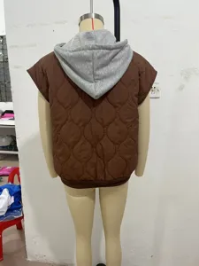 Autumn colorblock sleeveless hooded vest for women, casual zip quilted outerwear.