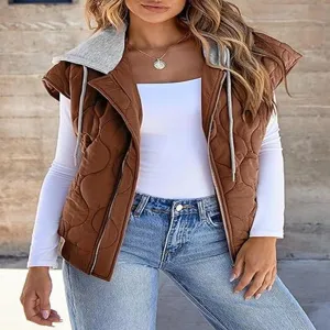 Autumn new women's color-block sleeveless hooded vest casual minimalist versatile outerwear.