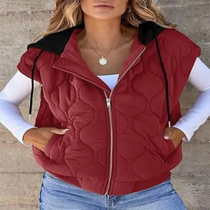 Women fall colorblock sleeveless hooded quilted puffer vest casual zip up outerwear top