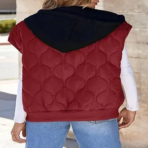 Detailed view of the colorblock hooded quilted vest, featuring a sleeveless casual style.
