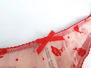 Detailopname van rode kanten damesslip met transparante tule en decoratief strikje.