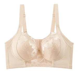 Détail de soutien-gorge en dentelle grande taille, armature confortable, beige neutre.