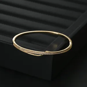 Exquisite Gold Plated Micro Pave Zircon Bangle Bracelet Close Up Display Detail View