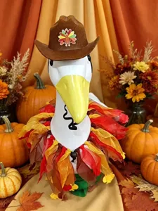 Thanksgiving porch goose outfit set with cowboy hat and autumn leaf wreath for 23 inch goose