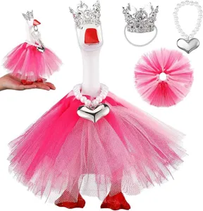Vista dettagliata della gonna tutu rosa, corona scintillante e collana cuore per oca statuetta.