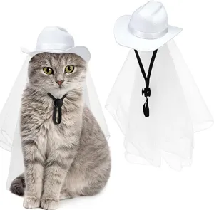Details of white pet cowboy hat with veil, close-up shot showing fine texture and design.