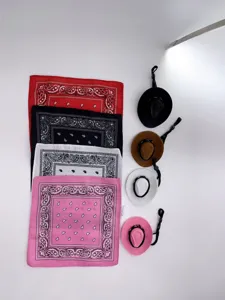 Mini cowboy hat and paisley bandana set, detailed view of pet duck costume accessories.