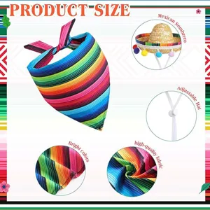 Mexican sombrero hat and colorful striped pet bandana set for party decoration detail view