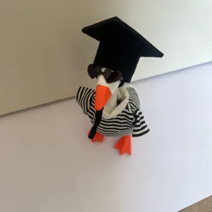 Detailed shot of a cute graduation hat, heart sunglasses, and striped outfit for a duck.