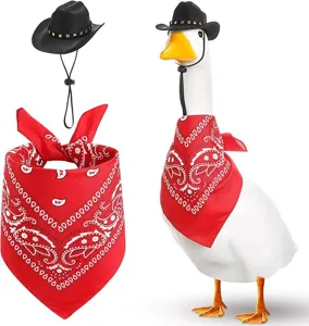 Detailed view of porch goose costume set with black cowboy hat and red paisley bandana.