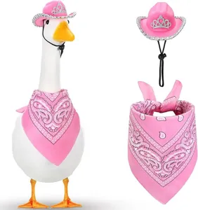 Pink cowgirl hat and paisley bandana set for porch goose decoration, cute costume details.