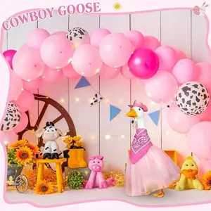 Cowboy goose outfit set with pink hat scarf and skirt for porch animal dress up decor accessories
