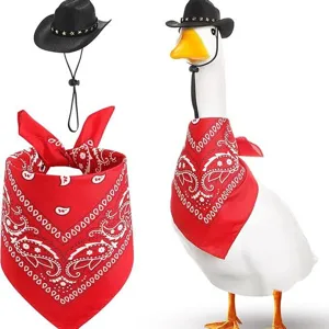 Cute cowboy hat and red paisley bandana set for porch goose decoration pet costume