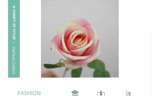Close-up of artificial velvet rose flower head with soft pink and cream petal edges