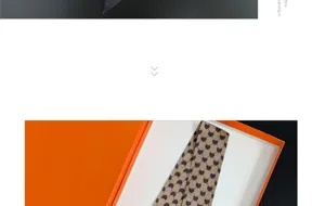 French style silk twilly scarf for women, elegant hair band and bag accessory with orange box.