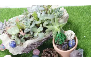 Close-up of a miniature owl crystal figurine inside a micro landscape garden ornament