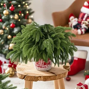 Detailed texture of artificial Norfolk pine needles in a festive Christmas potted display