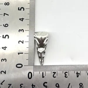 Detailansicht des gotischen Zinklegierungs-Vogelschädel-Anhängers mit Metallineal für DIY-Halskette.