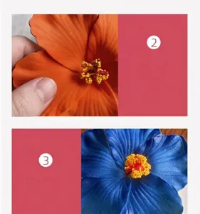 Artificial hibiscus flower hair clip accessory, realistic fabric floral design details.