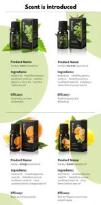 Detaillierte Informationen zum Set mit Minz-, Teebaum-, Orangen- und Zitronenöl.