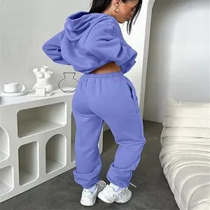 Detailed shot of a purple 2-piece casual hoodie and sweatpants set, Y2K style lounge wear.