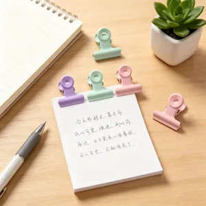 Set di clip per carta in metallo colore macaron per organizzazione cancelleria ufficio