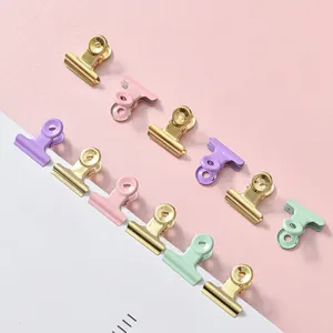 Pastel kleur binder clips set, schattige metalen briefclips voor kantoor en school organisatie.