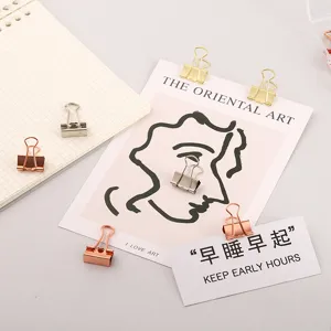 Metall Binder Clips in Roségold Gold und Silber, 19mm Papierklemmen für Büro und Journaling.