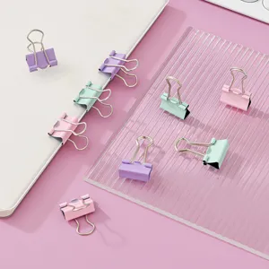 Pastelkleurige papierklemmen set voor kantoor en school, schattige metalen kantoorartikelen.