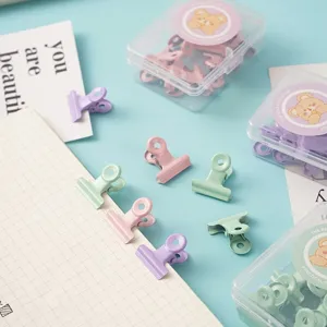 Macaron Farben Metall Binder Clips Set mit Transparenter Box und Büroklammern Zubehör
