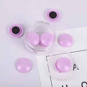 Pastellfarbene magnetische Pinnnadeln mit transparentem Aufbewahrungsbehaelter fuer Buero.